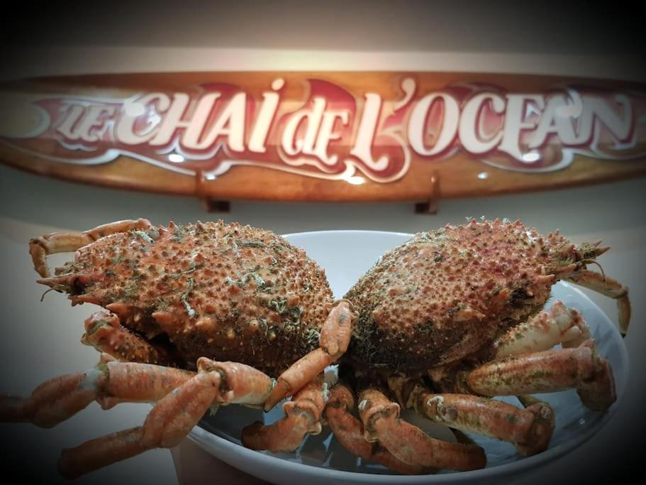 Le Chai De L'Ocean -Maison Plage A 300M - Jardin Terrasse ซูลัก-โซร์-แมร์ ภายนอก รูปภาพ